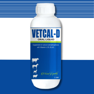 Vetcal-D Oral Liquid